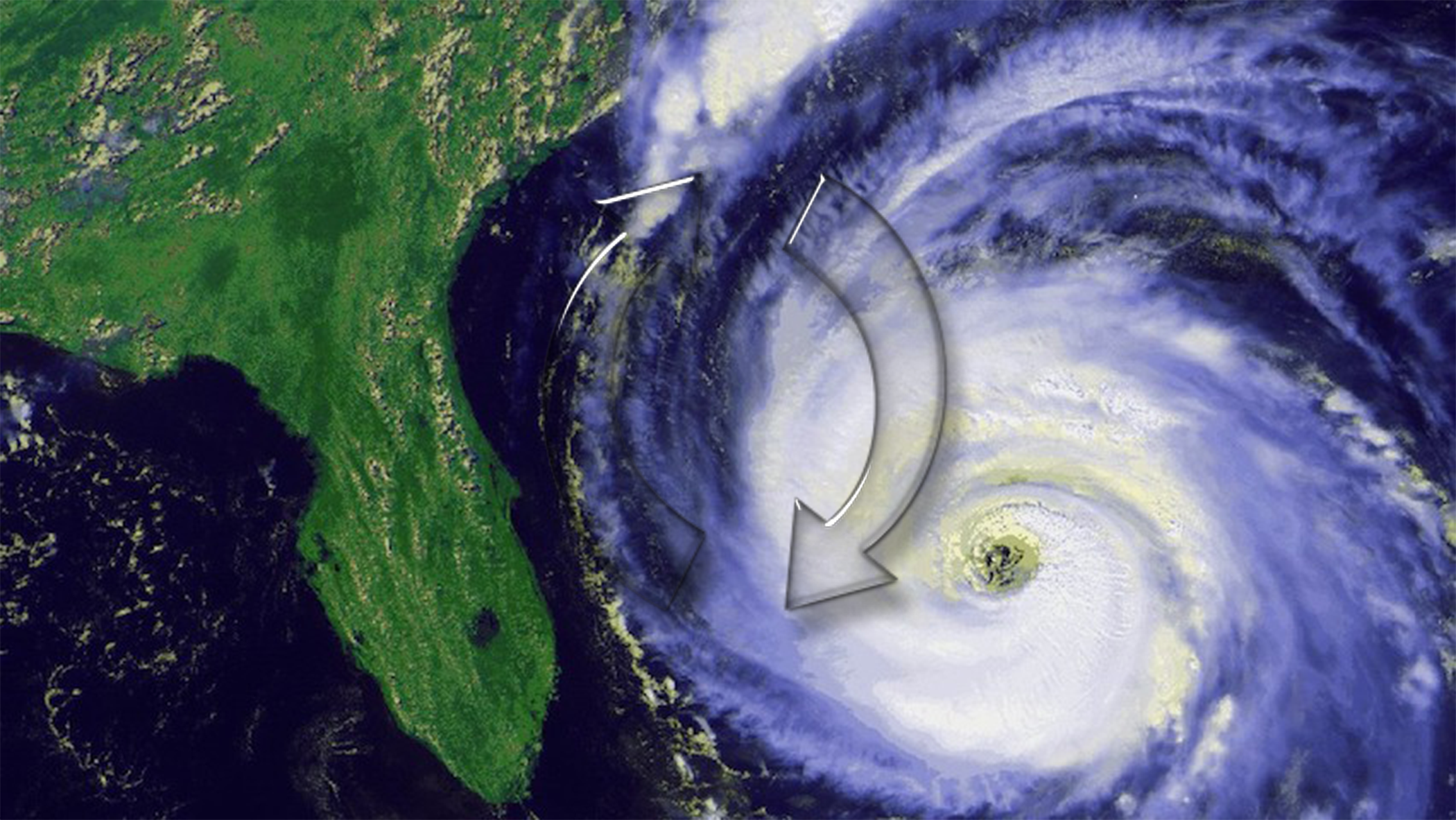 Disaster Services-Information Technology