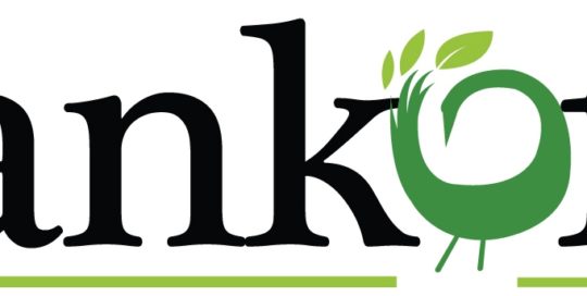 Sankofa Logo